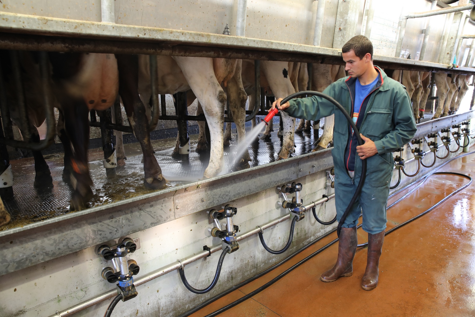 Lire la suite à propos de l’article Transition agroécologique en élevage laitier