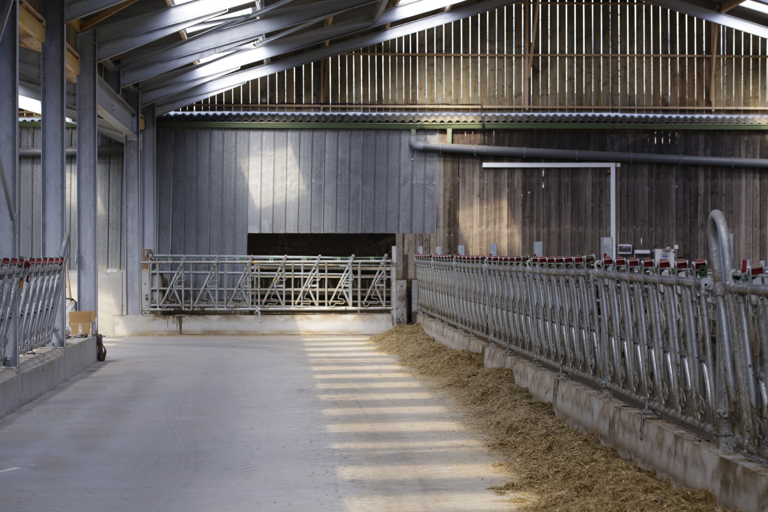 Lire la suite à propos de l’article Concevoir un bâtiment laitier (vaches, veaux, génisses)