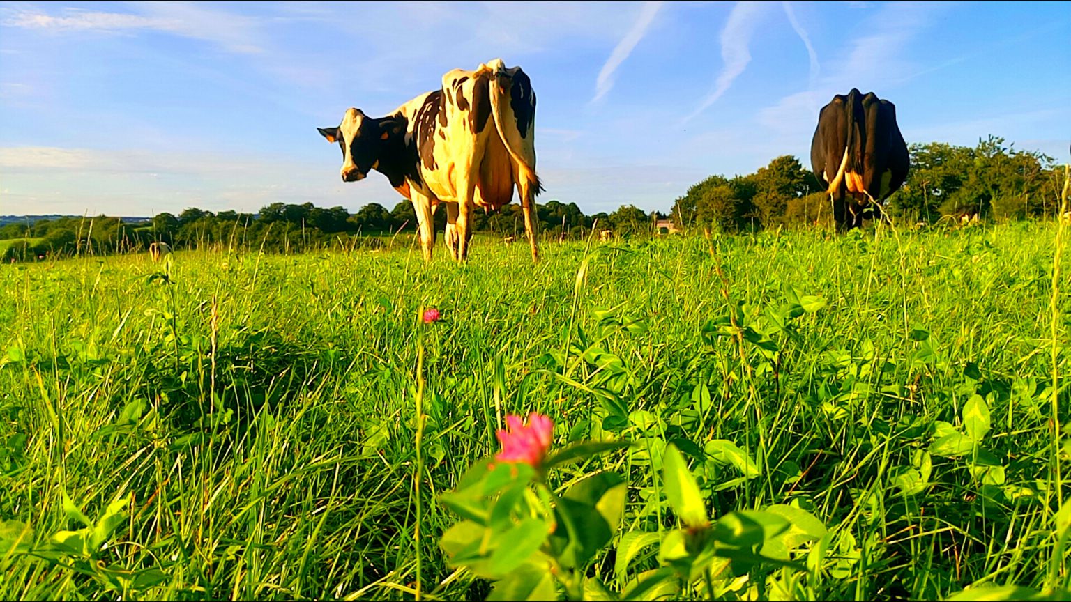 BTPL Améliorer la biodiversité à l'échelle de son exploitation