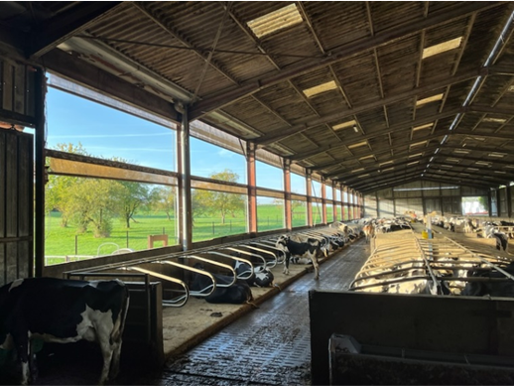 Lire la suite à propos de l’article Recherche SALARIE(E) AGRICOLE EN PRODUCTION LAITIERE